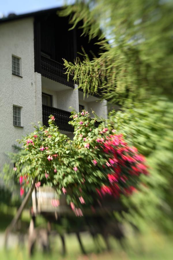 Landhaus Am Forst - Apartments Bad Alexandersbad Bagian luar foto